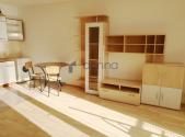 Pronájem bytu, 1+kk, 42 m²