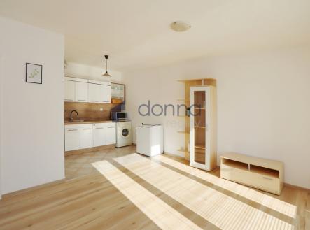 Pronájem bytu, 1+kk, 42 m²