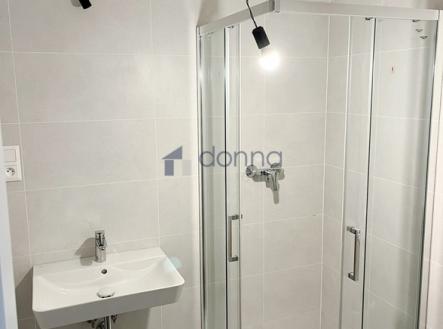 Pronájem bytu, 1+kk, 56 m²