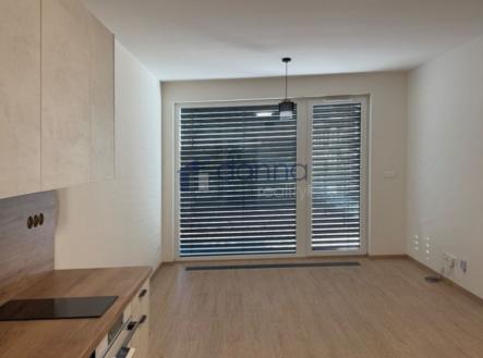 Pronájem bytu, 1+kk, 66 m²