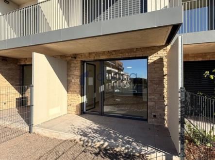Pronájem bytu, 1+kk, 66 m²