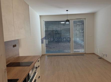 Pronájem bytu, 1+kk, 66 m²