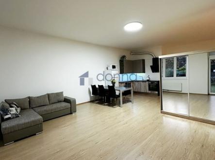 Pronájem bytu, 1+kk, 96 m²