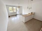 Pronájem bytu, 1+kk, 42 m²