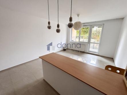 Pronájem bytu, 1+kk, 42 m²