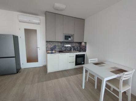 Pronájem bytu, 1+kk, 43 m²