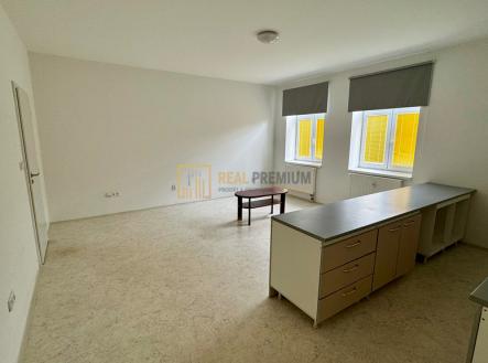 Pronájem bytu, 1+kk, 45 m²