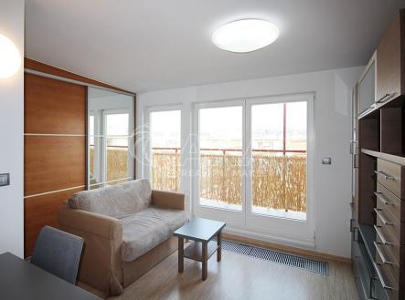Pronájem bytu, 1+kk, 31 m²