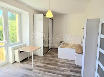 Pronájem bytu, 1+1, 38 m²