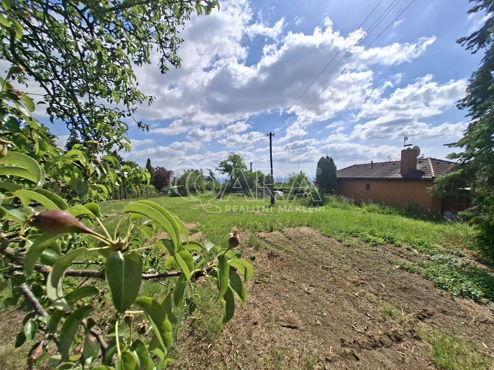 20260531_095130.jpg