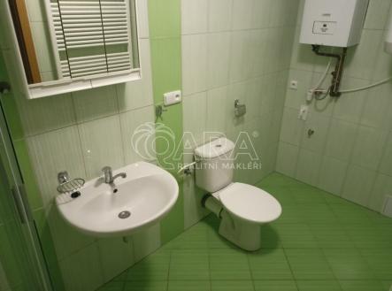 Pronájem bytu, 1+kk, 34 m²