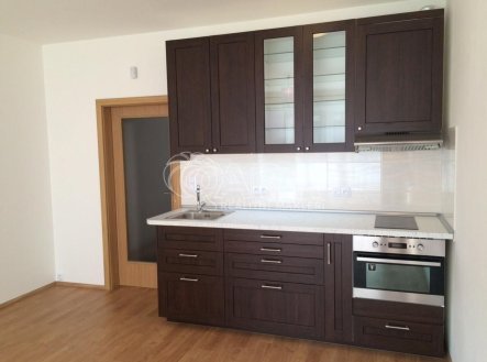 Pronájem bytu, 1+kk, 70 m²