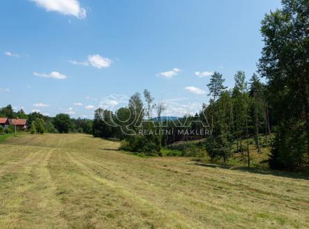 Prodej - pozemek, trvalý travní porost, 7 345 m²