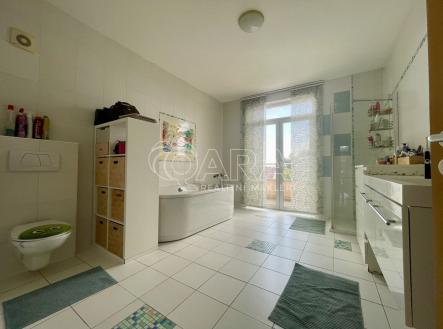 Pronájem domu/vily, 300 m²