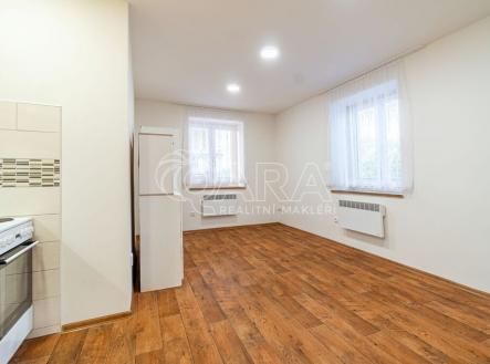 Prodej bytu, 1+kk, 30 m²