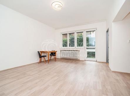 Pronájem bytu, 1+1, 49 m²