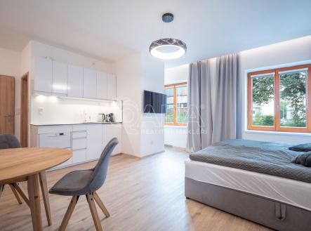 Pronájem bytu, 1+1, 33 m² obrázek