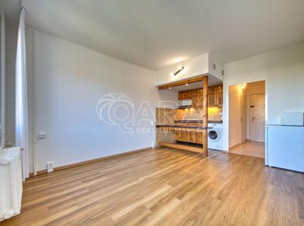 Pronájem bytu, 1+kk, 26 m² obrázek