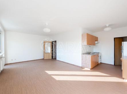 Pronájem bytu, 1+kk, 42 m²