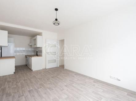 Pronájem bytu, 2+kk, 46 m² obrázek