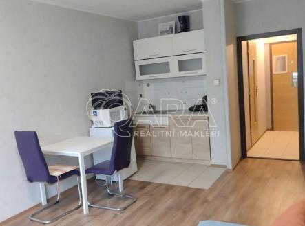 Prodej bytu, 1+kk, 29 m²