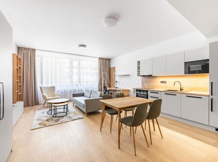 Pronájem bytu, 1+kk, 65 m²