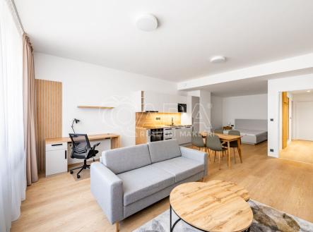 Pronájem bytu, 1+kk, 65 m²