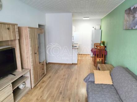 Prodej bytu, 2+kk, 46 m²