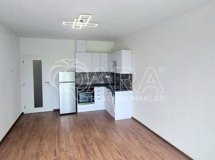 Pronájem bytu, 1+kk, 33 m²