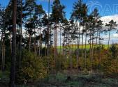 Prodej pozemku, les, 8 586 m²