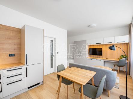 Pronájem bytu, 1+kk, 27 m²