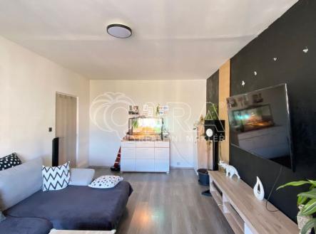 Prodej bytu, 2+1, 66 m²