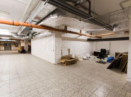Pronájem skladovací prostor, 350 m²