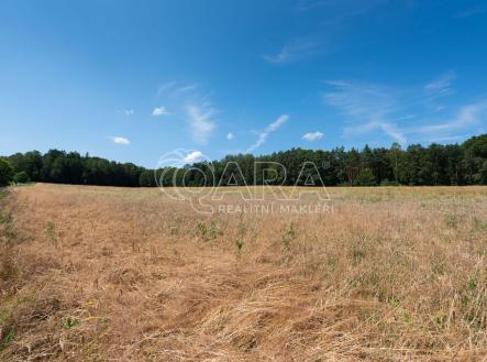 Prodej - pozemek, zemědělská půda, 8 980 m²