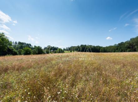 Prodej - pozemek, zemědělská půda, 8 980 m²