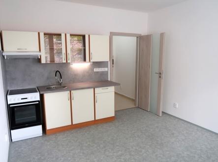 Pronájem bytu, 1+kk, 20 m²