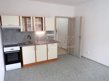 Pronájem bytu, 1+kk, 20 m²