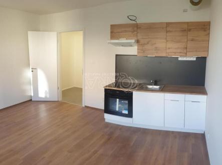 Pronájem bytu, 1+kk, 26 m²