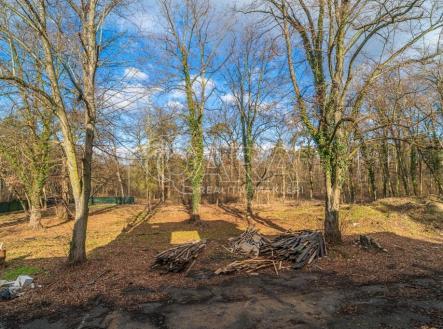 Prodej pozemku pro bydlení, 6 090 m²