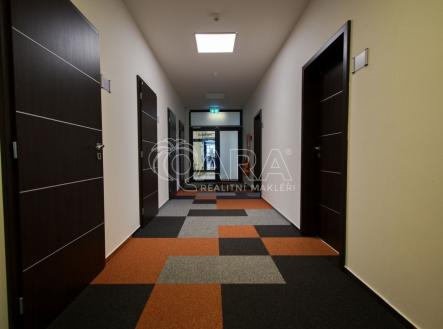 Pronájem kanceláře, 82 m²