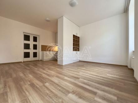 Pronájem bytu, 1+kk, 45 m²