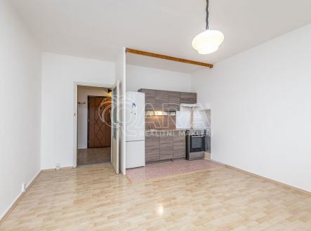 Pronájem bytu, 2+kk, 46 m²