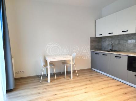 Pronájem bytu, 1+kk, 22 m²