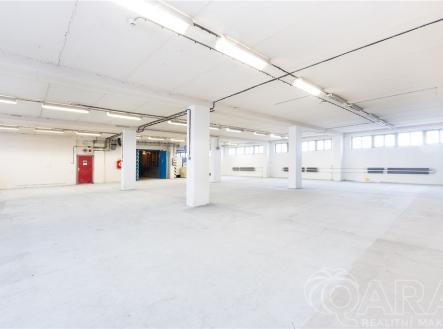 Pronájem skladovací prostor, 674 m²