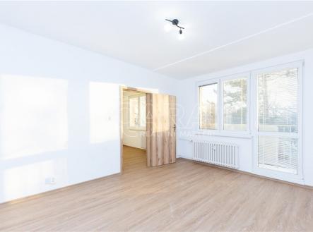 Pronájem bytu, 1+1, 38 m²