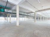 Pronájem skladovací prostor, 4 000 m²