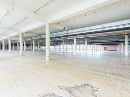 Pronájem skladovací prostor, 4 000 m²