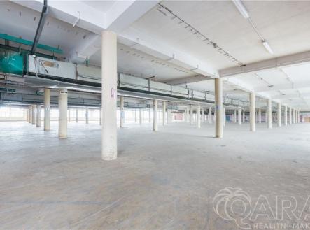 Pronájem skladovací prostor, 4 000 m² obrázek