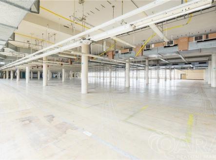 Pronájem skladovací prostor, 4 000 m²
