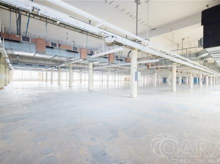 Pronájem skladovací prostor, 4 000 m²